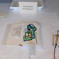          Bukowski Book with Painted Leaflet picture number 12

