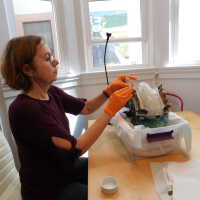          Gail picture number 10
