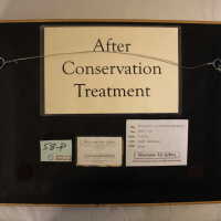          Winter on the water picture number 13
