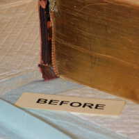          Family Bible picture number 26
