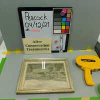          Williams College picture number 10
