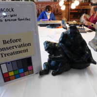          Pair of Gorillas picture number 3
