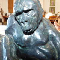          Pair of Gorillas picture number 10
