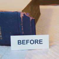          Family Bible picture number 161
