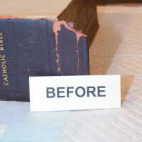          Family Bible picture number 162
