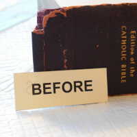          Family Bible picture number 164
