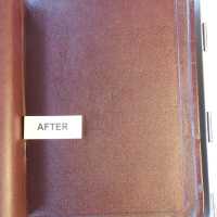          Family Bible picture number 257
