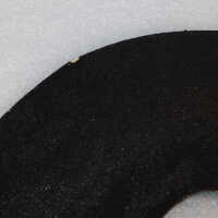          Black cat picture number 5
