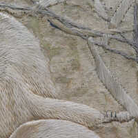          Client: Smith. Item: Japanese Embroidery with Cranes picture number 193
