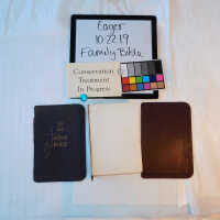         Family Bible picture number 203
