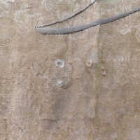          Client: Smith. Item: Japanese Embroidery with Cranes picture number 162
