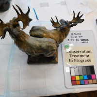          Bronze Mooses picture number 9

