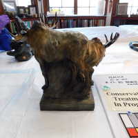          Bronze Mooses picture number 10

