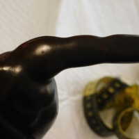          Discus Thrower picture number 11

