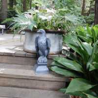          Lead Eagle (facing right) picture number 20
