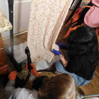         Gail picture number 23
