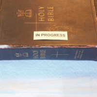         Family Bible picture number 225
