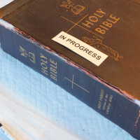          Family Bible picture number 226
