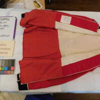          Irish Guard Coat picture number 2
