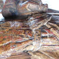          Santos Polychrome Wood Figures picture number 6
