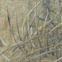         Client: Smith. Item: Japanese Embroidery with Cranes picture number 159
