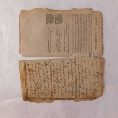 Before treatment: The third and fourth loose leaves (back side)