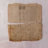          Before treatment; The third and fourth loose leaves (back side)
