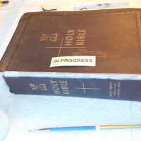          Family Bible picture number 228
