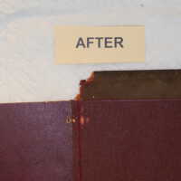          Family Bible picture number 47
