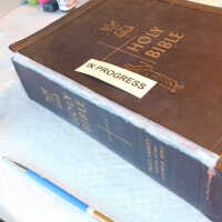          Family Bible picture number 229
