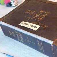          Family Bible picture number 230
