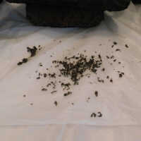          Textile and Tribal Arts Show Rehousing Project picture number 267
