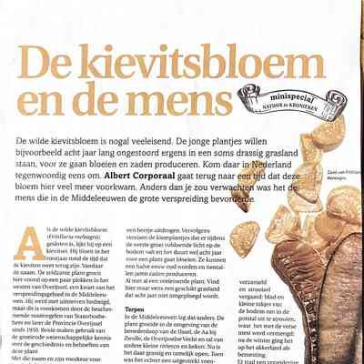 2023-02-28 Kievitsbloem.