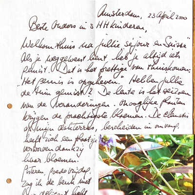 2000-04-23 Brief aan Beste ouders in sHHK over ontluikende natuur op het dakterras in Adam en de Mattheus Passie.