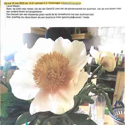 2022-05-16 Mail aan Marjan Veder v. bloende pioenroos.