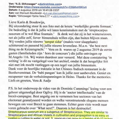 2019-08-03 Mail aan Karin en Boudewijn v. Ittersum over Streptocarpus saxorum.