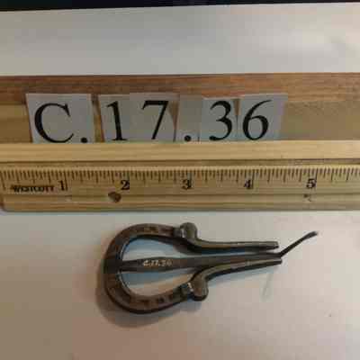 Jew's Harp