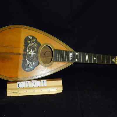 Mandolin