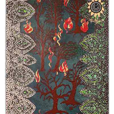 Forest Fire