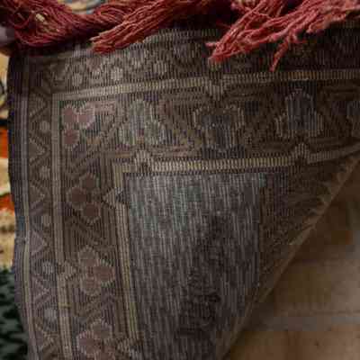 Back of red and blue rug: The back of the red and blue rug features intricate geometric patterns with subtle floral motifs in muted tones, alongside visible red fringes.