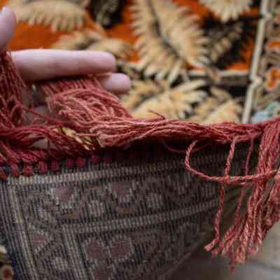Fringe on red and blue rug: The tapestry displays intricate red fringe.