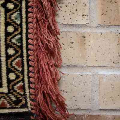 Fringe on red and blue rug: The rug features intricate patterns with red fringe.