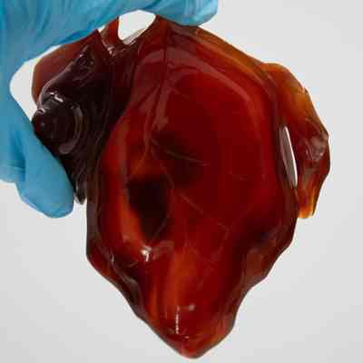 Carved amber leaf held up to the light.: Up close image of the leaf design on the red-colored carved amber dish.