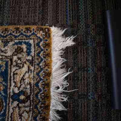 Fringe on large cream and blue area rug with deer: The image shows a decorative rug with beige tassels and intricate blue and cream patterns.