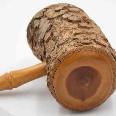 Cedar gavel: A unique cedar gavel with visible bark and rings of the wood.