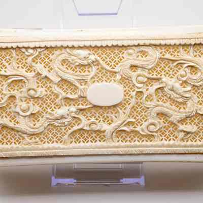 Top of the carved ivory dragon box from India.: Image of the top of the rectangular ivory box with cutouts and carvings of dragons.