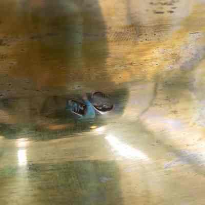 Maker's marks on the bottom of the large silver and brass urn from Persia.: Up close image of the two maker's marks stamped into the bottom of the urn. They both contain Arabic script and are illegible.