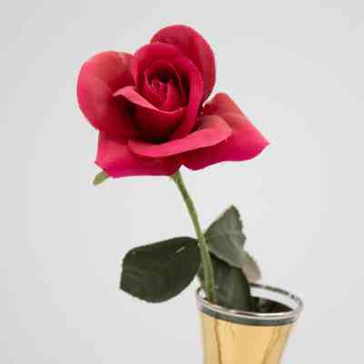 Red Rose: Close-up image of a faux red rose in a clear glass vase. The mouth of the vase has a gold band around its top.