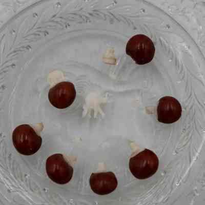 Seven lucky red seeds topped with miniature carved ivory elephants resting on a hexagonal crystal dish.: Up close image of the seven lucky red seeds topped with miniature carved ivory elephants resting on a hexagonal crystal dish. One of the small elephants has been detached and there is a small ivory elephant lying in the middle.
