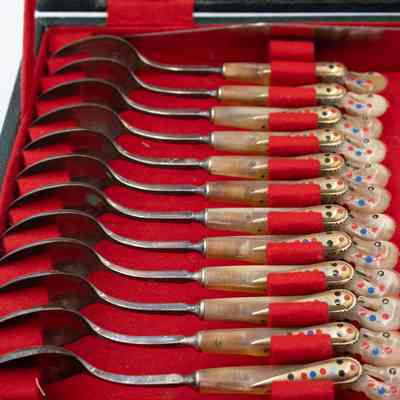 Spoons in case: A set of seahorse-handled spoons rests neatly in a red felt-lined case.